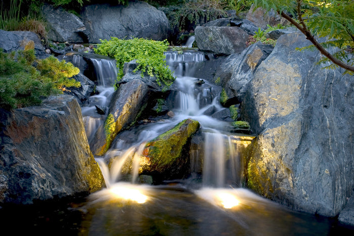 Photo of Aquascape Garden and Pond LED Spotlight and Waterfall Contractor 6-Pack  - Marquis Gardens